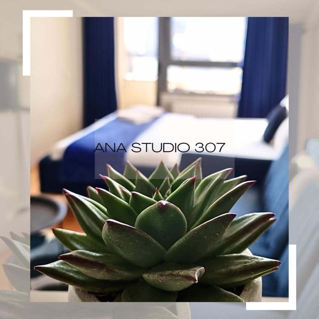 Apartament Ana Studio 307 Prisztina Zewnętrze zdjęcie